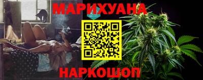 индика Будённовск