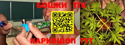 индика Будённовск
