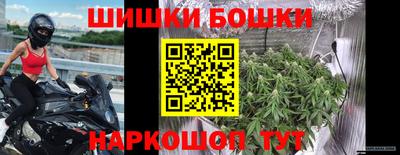 индика Будённовск